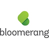 Bloomerang logo